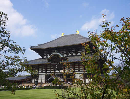 Nara Afternoon Tour