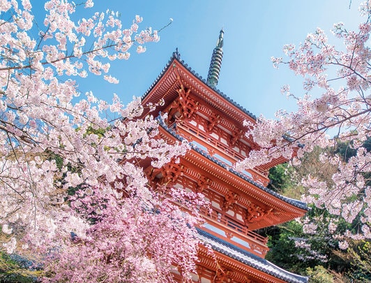 Kiyomizu temple_Fukuoka